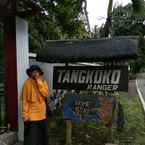 Review photo of Tangkoko Ranger Homestay from Tri R. A.