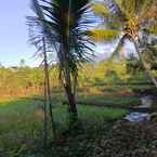 Review photo of Paddies Homestay from Wahyu A. P.