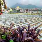 Review photo of Banyumili Johar Syariah from Bayu A.