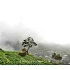 Ulasan foto dari Homestay Kemangi Syariah Dieng dari Firmansyah F.