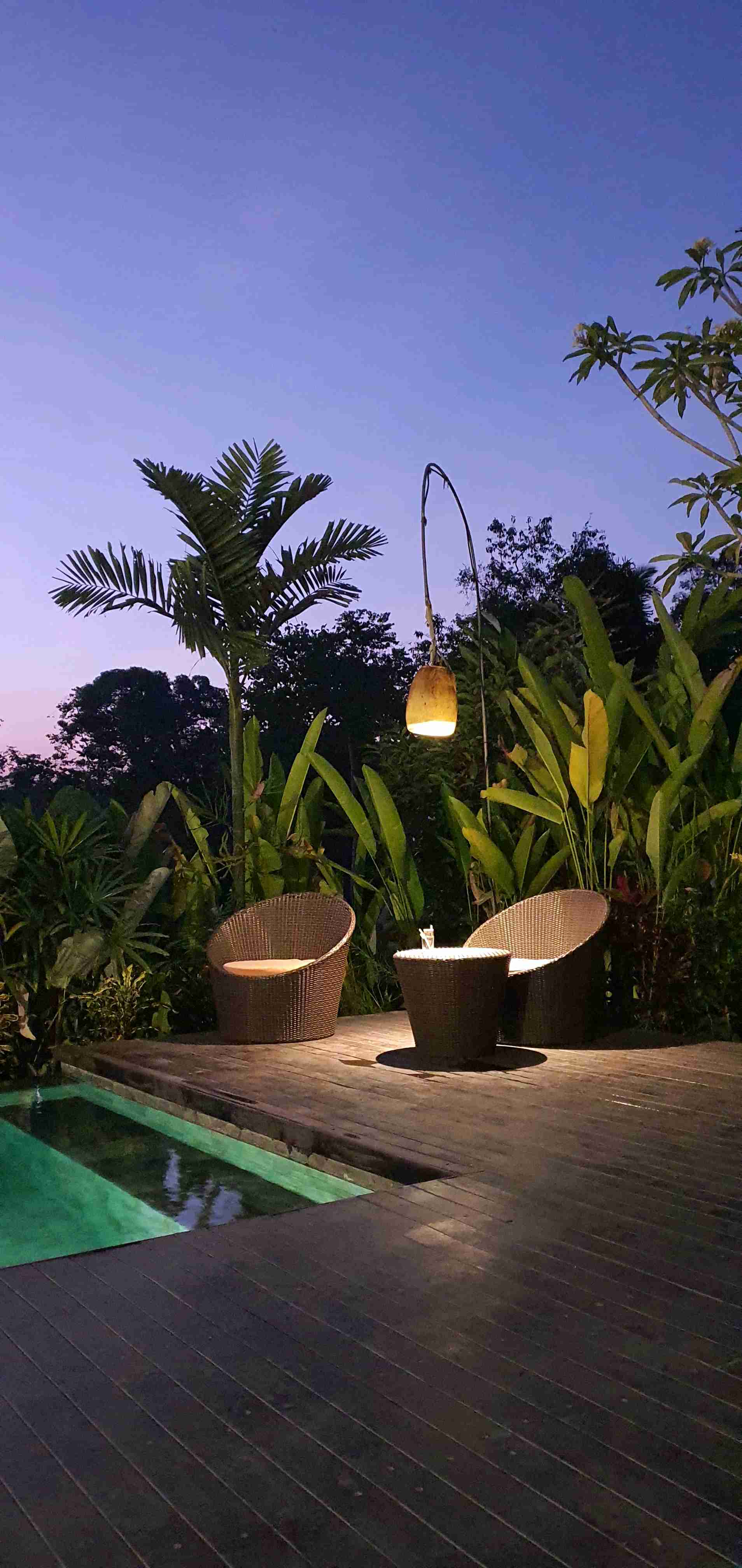 รูปภาพรีวิวของ Villa Tegaltis Ubud จาก Leonardus I. M.