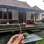 Review photo of Omah Pitoe Homestay 2 from Tri P.
