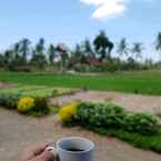 Review photo of Clean Room at Banyu Resort Banyuwangi from Ragiel A. E.