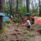 Imej Ulasan untuk Curug Batu Gede Cisuren Camping Ground dari Ika R. M.