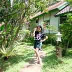 Review photo of Mi Casa Ijen Guest House 5 from Pipink P.