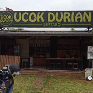 Rumah durian bintaro