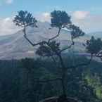 Ulasan foto dari Batur Mountain View dari Agus J.