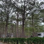 Review photo of Terracotta Hotel & Resort Dalat 2 from D***o