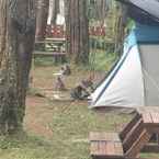 Ulasan foto dari Great Panorama Lodge & Camping dari Ranggatha T.