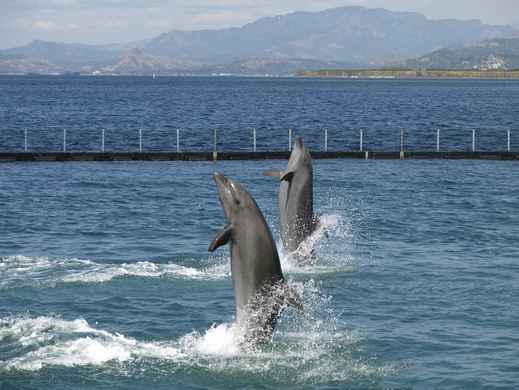 Subic Bay