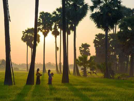 Ubud