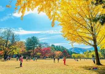 Nami Island 