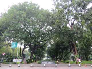 Suropati Park