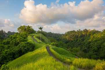 Campuhan Ridge Walk 