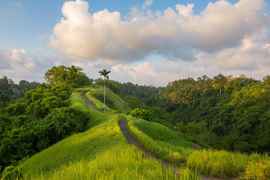 Campuhan Ridge Walk , Payangan