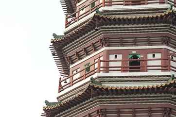 Temple of the Six Banyan Trees