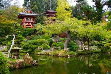 Golden Gate Park