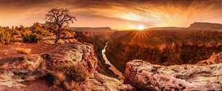 อุทยานแห่งชาติแกรนด์แคนยอน, Coconino County