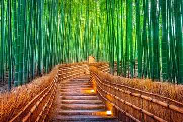 Arashiyama Bamboo Forest