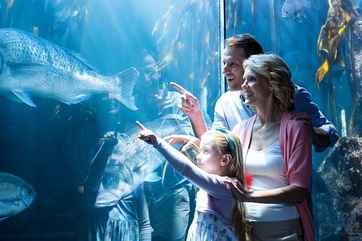 Shanghai Ocean Aquarium