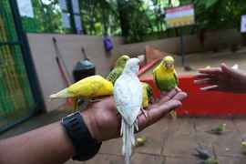 Langkawi Wildlife Park, Ayer Hangat