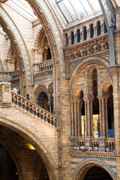 London Natural History Museum, Kensington