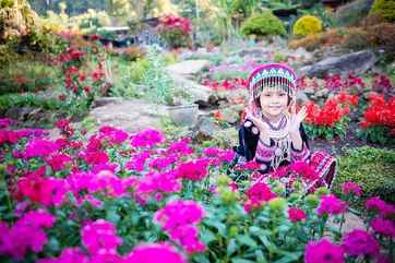 Taman Nasional Doi Suthep-Pui