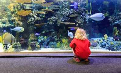 SEA Life London Aquarium