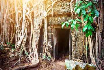 Ta Prohm Temple