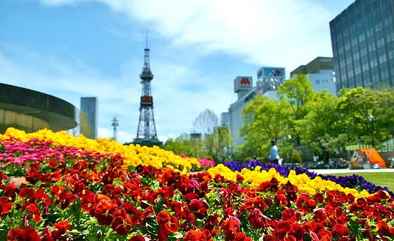 Odori Park