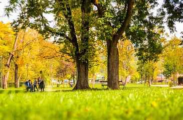 Roma Street Parkland