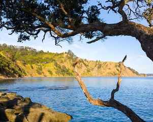 Goat Island Marine Reserve