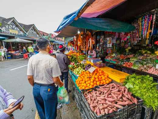 Cameron Highlands