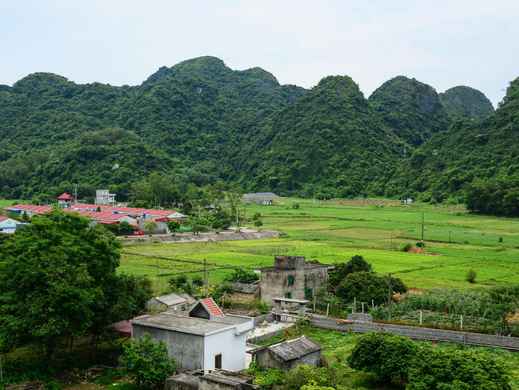 Cat Ba Township