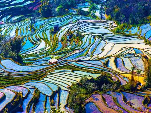 Guangxi