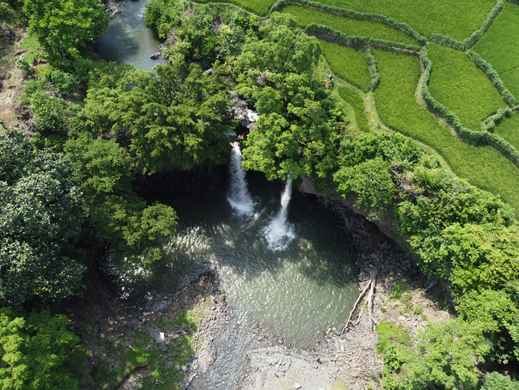 Pemalang