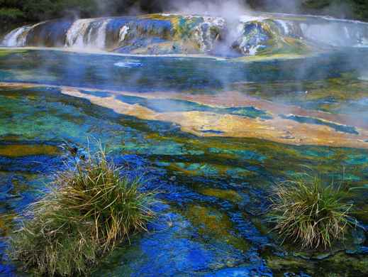 Rotorua 