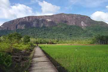 Sintang