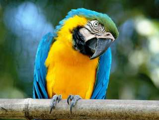 Bioparco: The Zoo of Rome