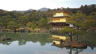 Nijo Castle, Kinkaku-ji Temple and Imperial Palace Tour from Kyoto