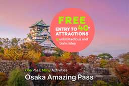 Osaka Amazing Pass, Rp 340.510