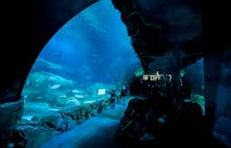 Aquarium de Paris, THB 1,013.86