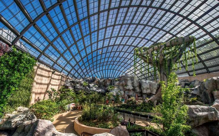 Discovering Entopia: Butterfly Encounters Await