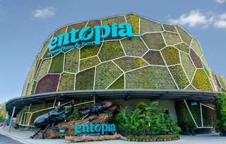 Entopia by Penang Butterfly Farm Tickets, 404.807 VND