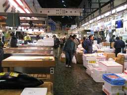 Tsukiji Outer Market Breakfast Tour