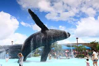 Pingtung National Museum of Marine Biology and Aquarium Ticket, AU$23