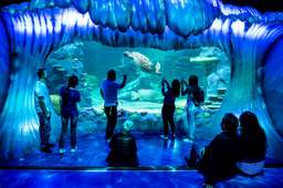 Sydney Multi-Attraction Pass, Rp 635.521