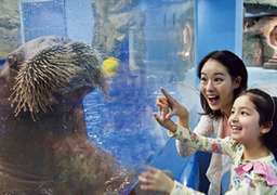 Aqua Planet Jeju Aquarium Tickets [Foreigners Only], USD 24.63