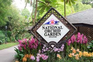 National Orchid Garden, ₱ 666.29