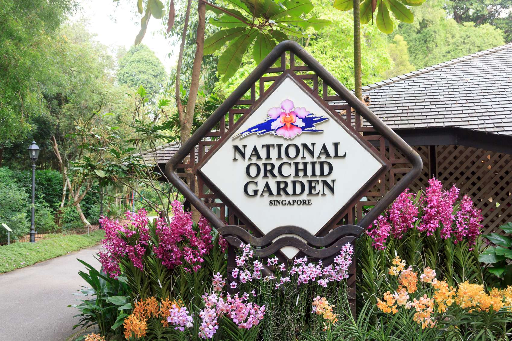 singapore botanic gardens orchids